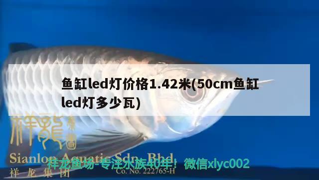 魚缸led燈價(jià)格1.42米(50cm魚缸led燈多少瓦) 玫瑰銀版魚