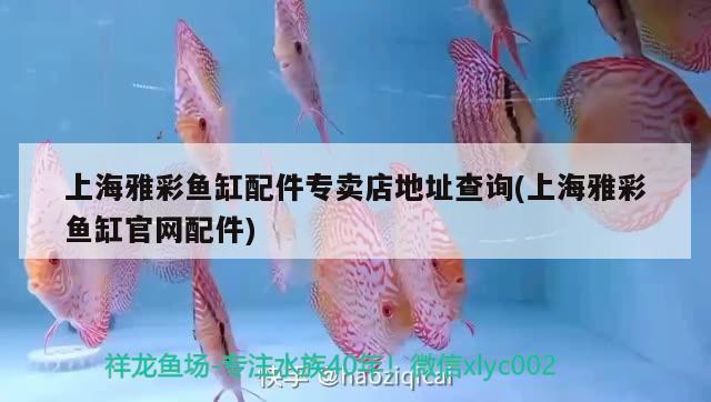 上海雅彩魚缸配件專賣店地址查詢(上海雅彩魚缸官網(wǎng)配件)