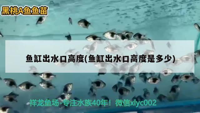 魚缸出水口高度(魚缸出水口高度是多少) 藍底過背金龍魚