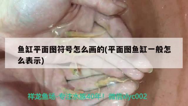 瀘州觀賞魚市場地址查詢：瀘州觀賞魚市場地址查詢官網(wǎng)