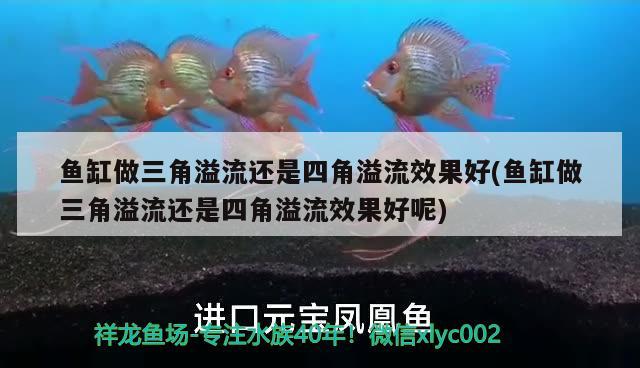 魚缸做三角溢流還是四角溢流效果好(魚缸做三角溢流還是四角溢流效果好呢)