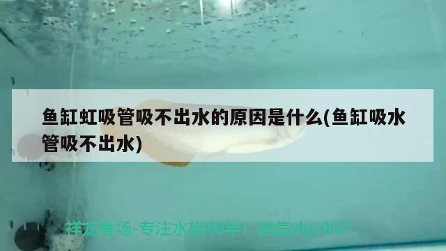 魚(yú)缸虹吸管吸不出水的原因是什么(魚(yú)缸吸水管吸不出水)