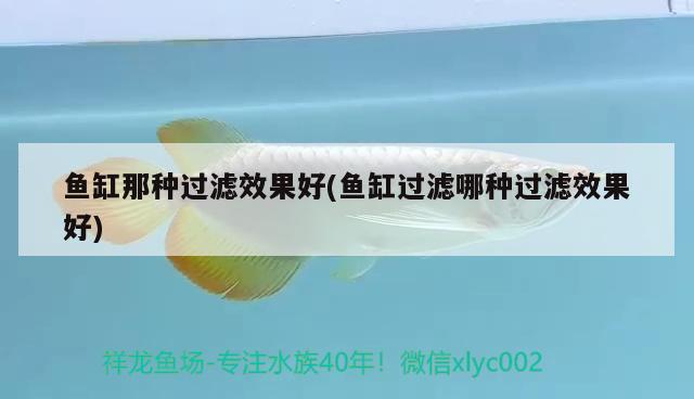 魚缸那種過濾效果好(魚缸過濾哪種過濾效果好) 觀賞魚市場