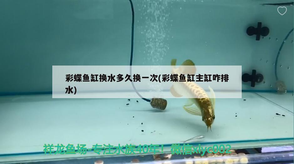 2米的魚缸用多長的燈(2米的魚缸做多寬)