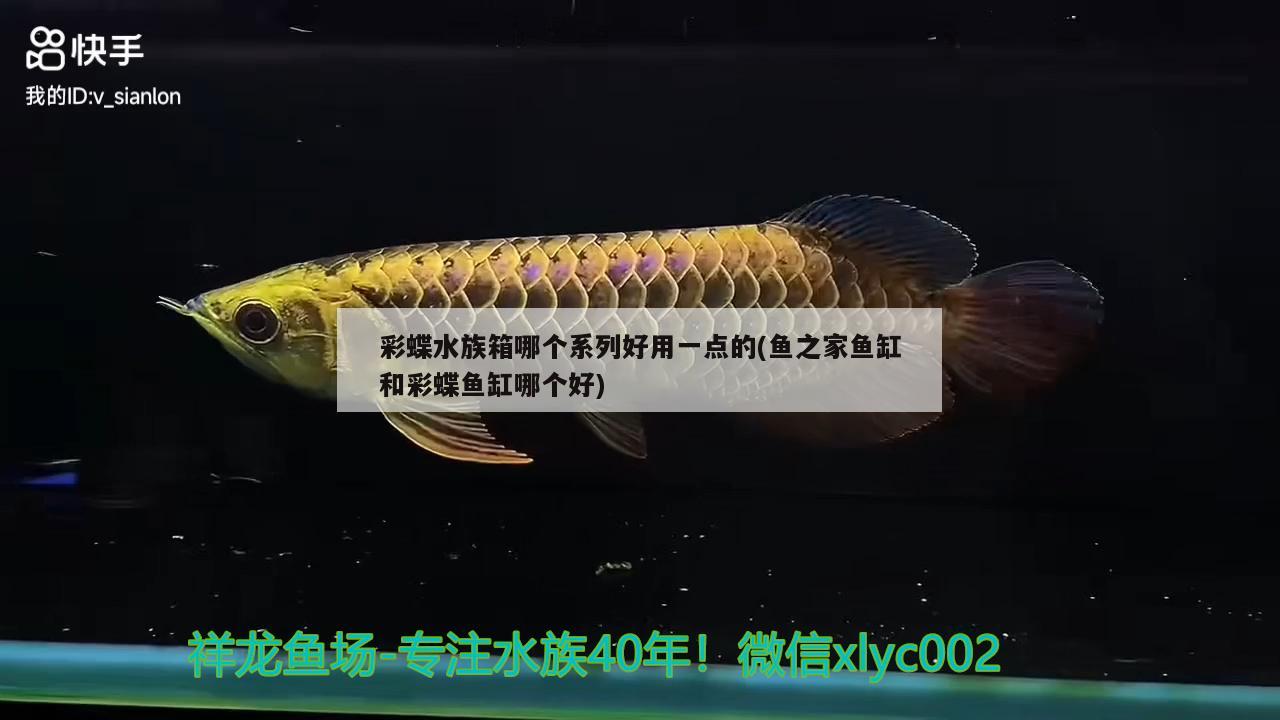 彩蝶水族箱哪個系列好用一點(diǎn)的(魚之家魚缸和彩蝶魚缸哪個好)