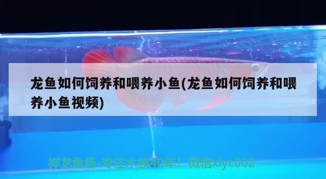 錦州魚缸清理電話號碼是多少啊 遼寧錦州有做魚缸的嗎