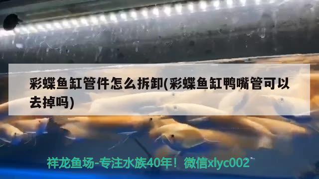 彩蝶魚缸管件怎么拆卸(彩蝶魚缸鴨嘴管可以去掉嗎) 三色錦鯉魚