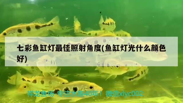 七彩魚缸燈最佳照射角度(魚缸燈光什么顏色好) 廣州水族器材濾材批發(fā)市場 第2張