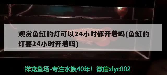 觀賞魚缸的燈可以24小時(shí)都開著嗎(魚缸的燈要24小時(shí)開著嗎)