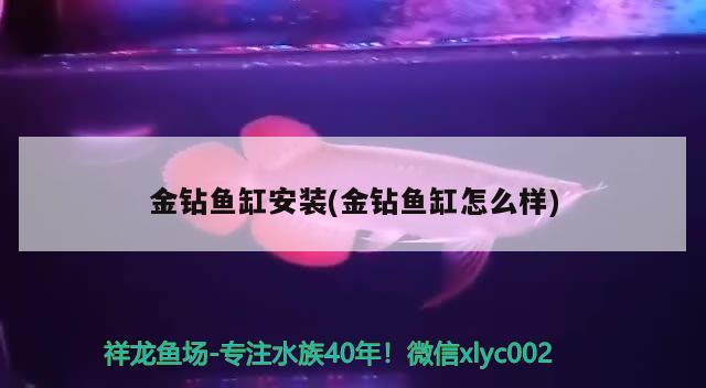 烏魯木齊二手魚缸出售轉(zhuǎn)讓信息（ 烏魯木齊賣魚缸的地方） 祥龍魚場(chǎng)