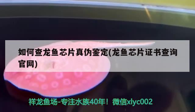 最好養(yǎng)的異型魚魚缸圖片大全集圖的尺寸，異型魚魚缸圖片大全集圖 羅漢魚批發(fā) 第2張