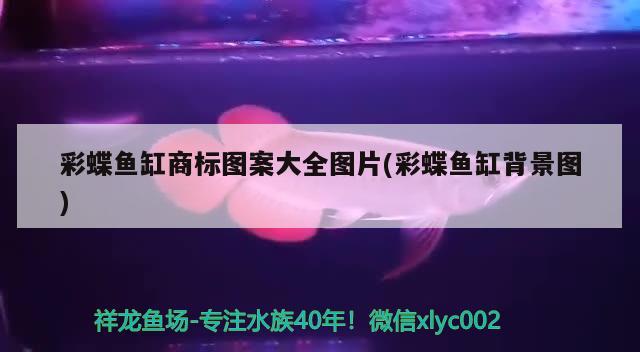 彩蝶魚缸商標圖案大全圖片(彩蝶魚缸背景圖) 祥龍龍魚魚糧 第2張