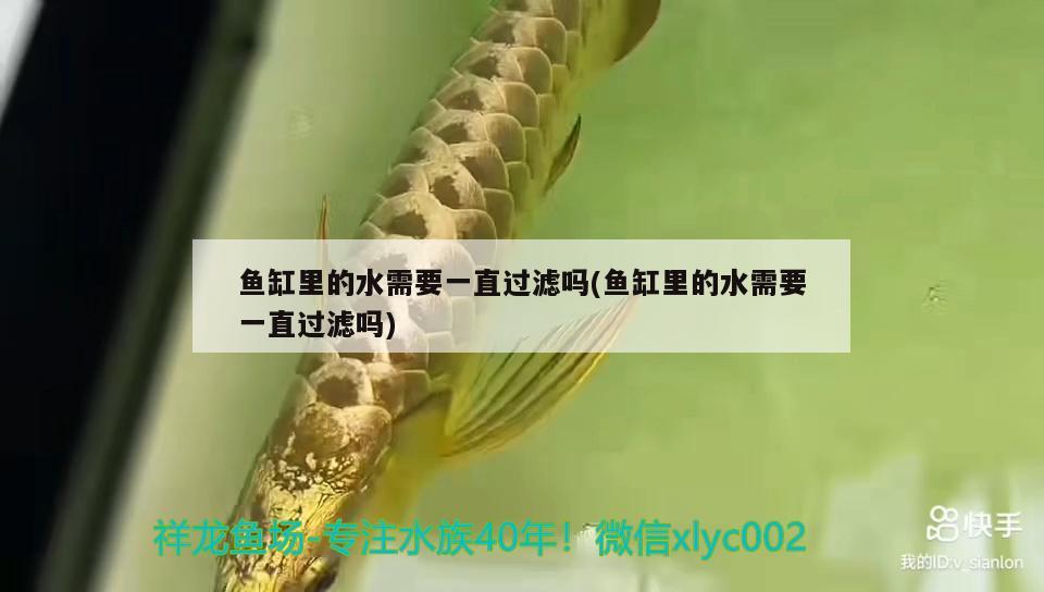 魚(yú)缸里的水需要一直過(guò)濾嗎(魚(yú)缸里的水需要一直過(guò)濾嗎) 廣州觀賞魚(yú)魚(yú)苗批發(fā)市場(chǎng)