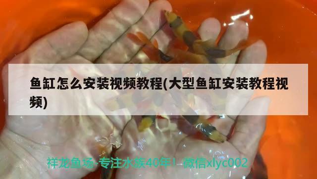 紹興觀賞魚批發(fā)市場(chǎng)地址電話多少：紹興魚批發(fā)市場(chǎng)在哪