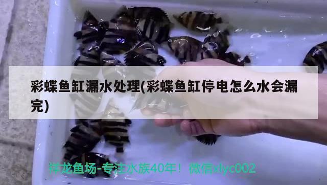 彩蝶魚缸漏水處理(彩蝶魚缸停電怎么水會(huì)漏完)