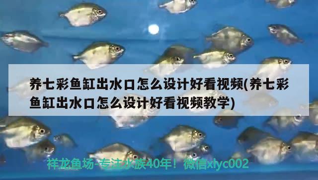 養(yǎng)七彩魚缸出水口怎么設(shè)計好看視頻(養(yǎng)七彩魚缸出水口怎么設(shè)計好看視頻教學(xué)) 其他益生菌