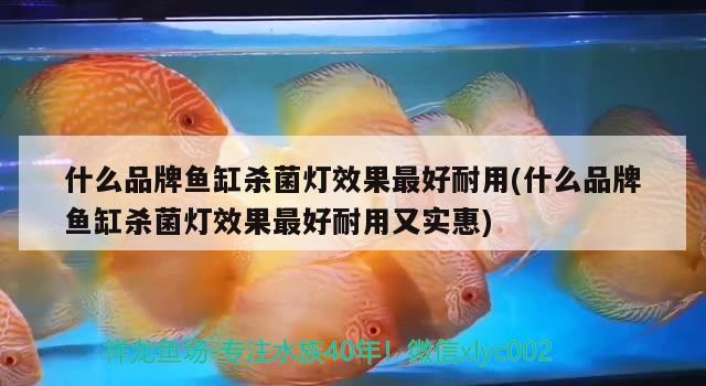 什么品牌魚缸殺菌燈效果最好耐用(什么品牌魚缸殺菌燈效果最好耐用又實惠) 魚缸等水族設備