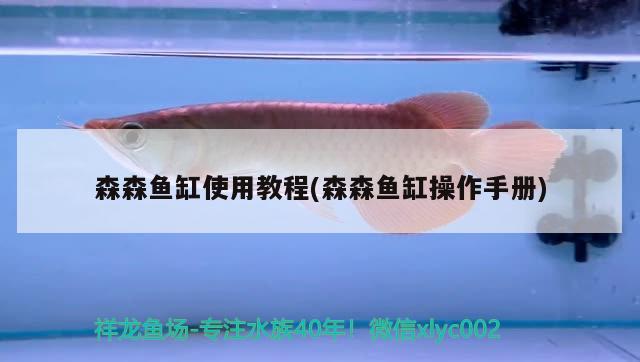 森森魚缸使用教程(森森魚缸操作手冊) 黃金夢幻雷龍魚