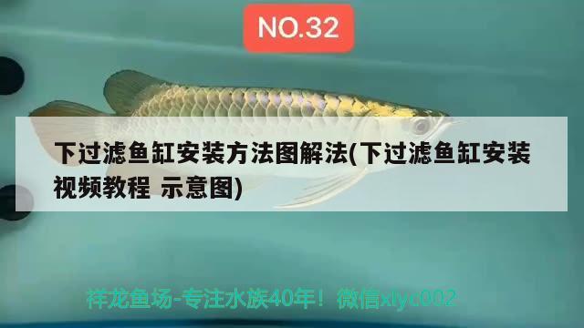 37大胭脂必定成為頭條新聞