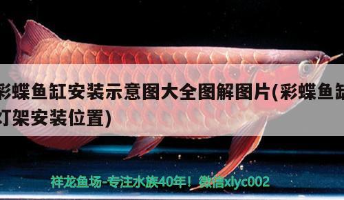 彩蝶魚缸安裝示意圖大全圖解圖片(彩蝶魚缸燈架安裝位置)