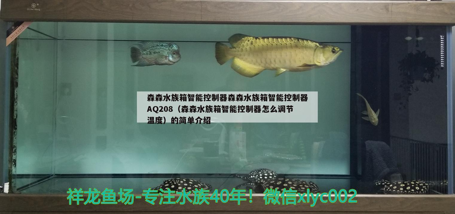 森森水族箱智能控制器森森水族箱智能控制器AQ208（森森水族箱智能控制器怎么調(diào)節(jié)溫度）的簡單介紹