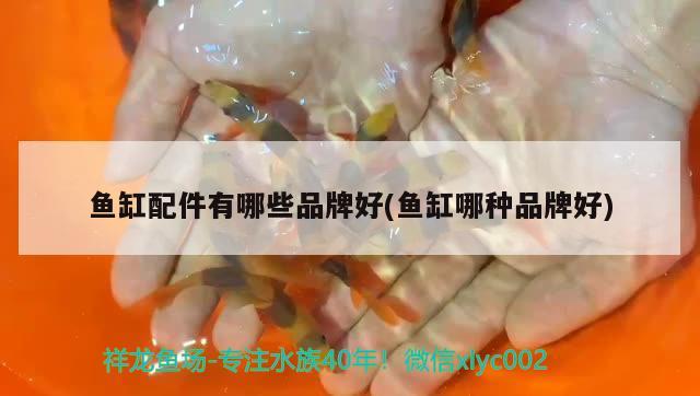 魚缸配件有哪些品牌好(魚缸哪種品牌好)