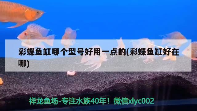 彩蝶魚缸哪個型號好用一點的(彩蝶魚缸好在哪)