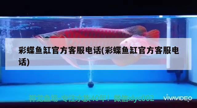 磁縣滏陽南大街鴻運觀賞魚場（磁縣賣觀賞魚的地方） 全國水族館企業(yè)名錄 第1張