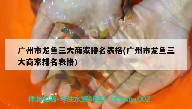 廣州市龍魚三大商家排名表格(廣州市龍魚三大商家排名表格)