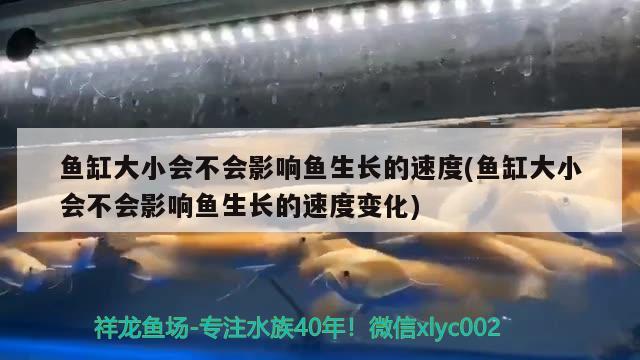 魚缸大小會(huì)不會(huì)影響魚生長(zhǎng)的速度(魚缸大小會(huì)不會(huì)影響魚生長(zhǎng)的速度變化) 刀魚魚