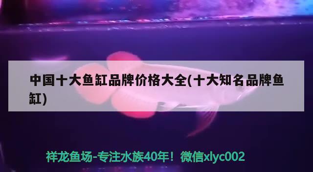 養(yǎng)魚魚缸水渾濁怎么辦，魚缸水渾濁怎么辦，，養(yǎng)魚魚缸水渾濁怎么辦 野彩魚 第3張