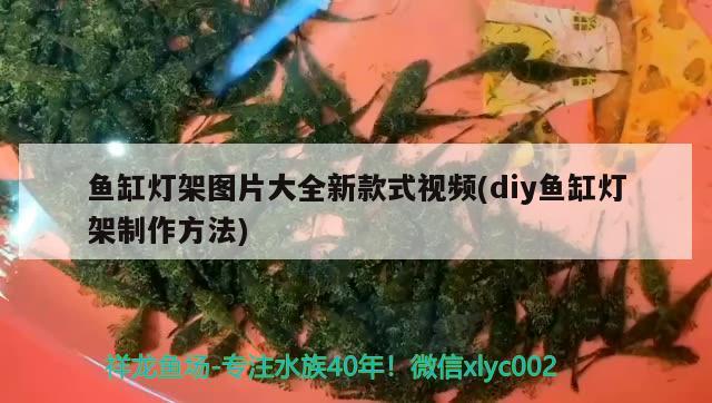 魚缸燈架圖片大全新款式視頻(diy魚缸燈架制作方法)