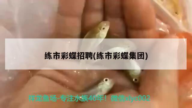 家用過濾器的水可以加魚缸里嗎(魚缸過濾器材可以直接放水里嗎) 水草