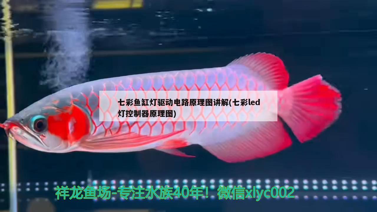 七彩魚缸燈驅(qū)動(dòng)電路原理圖講解(七彩led燈控制器原理圖)