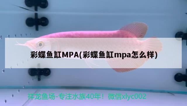 彩蝶魚缸MPA(彩蝶魚缸mpa怎么樣)