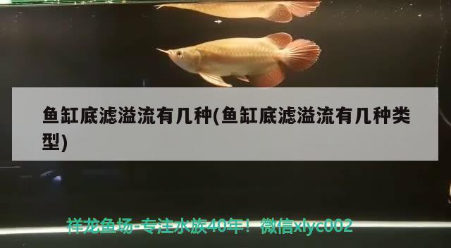 魚缸底濾溢流有幾種(魚缸底濾溢流有幾種類型)