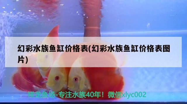 幻彩水族魚缸價(jià)格表(幻彩水族魚缸價(jià)格表圖片) 大湖紅龍魚