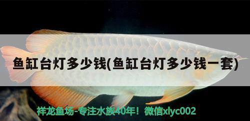 中國(guó)龍魚繁殖基地在哪個(gè)城市（金龍魚在國(guó)內(nèi)有多少生產(chǎn)基地） 翡翠鳳凰魚 第1張