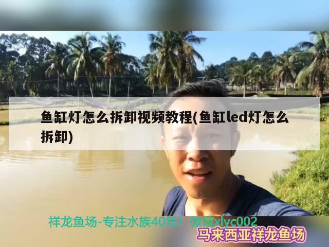 魚缸燈怎么拆卸視頻教程(魚缸led燈怎么拆卸)