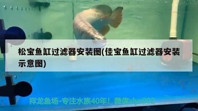 烏拉特前旗烏拉山喜芝水族店