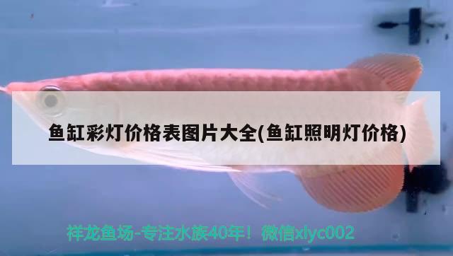 魚缸彩燈價格表圖片大全(魚缸照明燈價格)