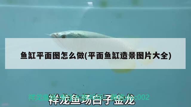 天王牌魚(yú)缸質(zhì)量怎么樣（最好的生態(tài)魚(yú)缸是哪個(gè)牌子） 白寫(xiě)錦鯉魚(yú) 第1張