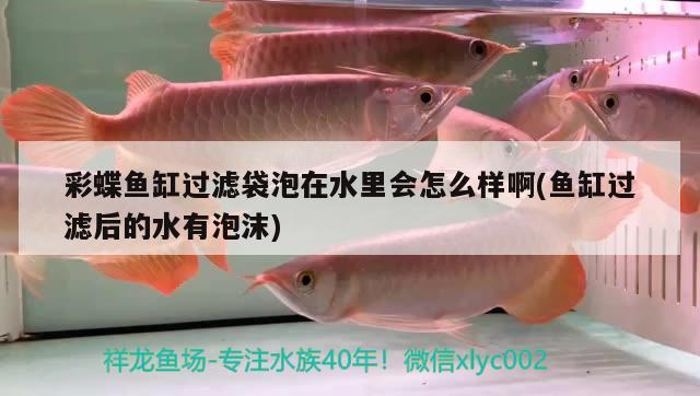 彩蝶魚(yú)缸過(guò)濾袋泡在水里會(huì)怎么樣啊(魚(yú)缸過(guò)濾后的水有泡沫)