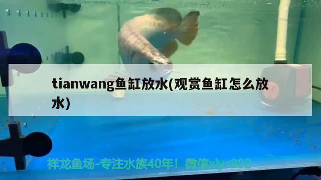 tianwang魚缸放水(觀賞魚缸怎么放水) 金龍魚百科