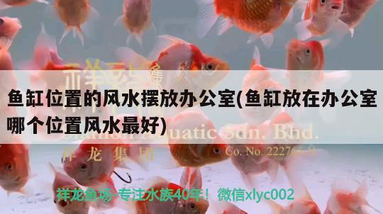 魚缸位置的風(fēng)水?dāng)[放辦公室(魚缸放在辦公室哪個位置風(fēng)水最好)