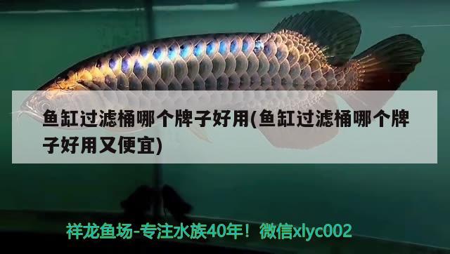 沈陽有回收舊魚缸的嗎電話地址在哪（沈陽哪里賣魚缸） 錦鯉飼料 第1張