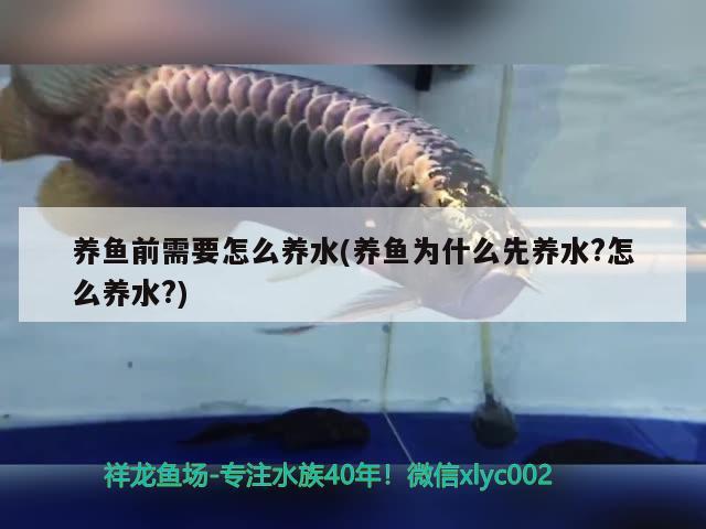 養(yǎng)魚(yú)前需要怎么養(yǎng)水(養(yǎng)魚(yú)為什么先養(yǎng)水?怎么養(yǎng)水?) 暹羅巨鯉