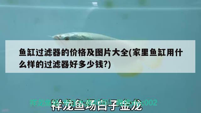 魚缸過濾器的價(jià)格及圖片大全(家里魚缸用什么樣的過濾器好多少錢?) 七彩神仙魚