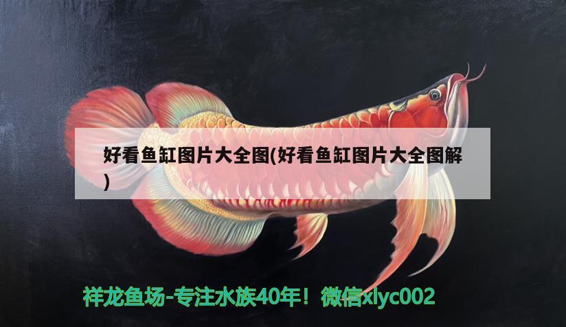 好看魚缸圖片大全圖(好看魚缸圖片大全圖解) 檸檬鯽