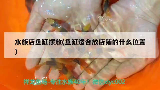 水族店魚缸擺放(魚缸適合放店鋪的什么位置) 非洲金鼓魚